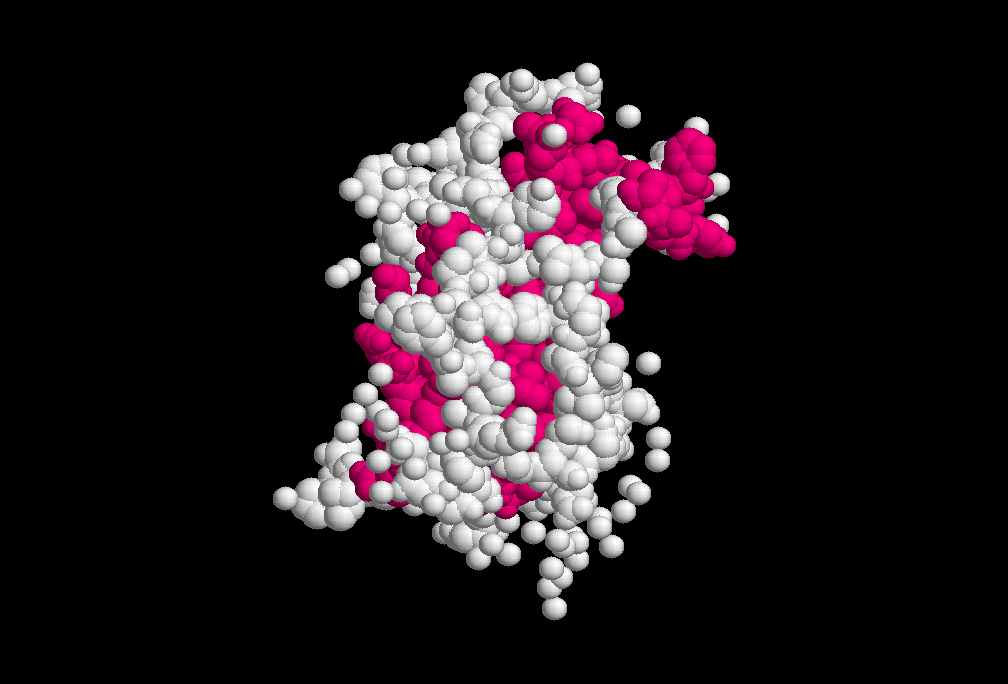 growth hormone