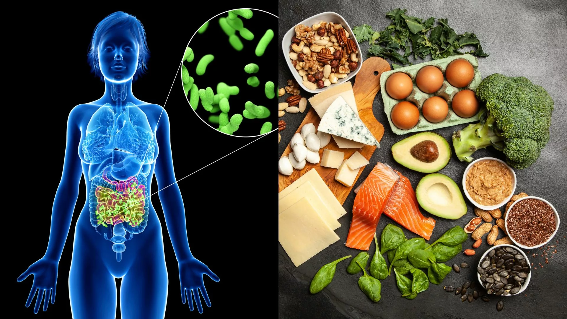 Influence Of Keto Diet On Gut Health